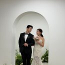 D-8 | 촬영드레스 로렌하우스 슬림드레스 촬영후기(D.8)