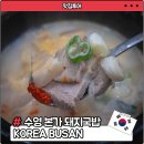수영본가돼지국밥, 부산 서면 24시 국밥 맛집 내돈내산 후기