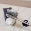 다인약국 | 노르다인 구강유산균 효능 복용법 내돈내산 후기