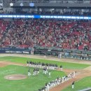 광천교 | 기아챔피언스필드 한화vs기아 3연전 직관 푸드/1루 106구역/3루 메디힐석 533T