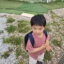 막사발펜션 | 강화도애견펜션 [막사발펜션] 가족이랑 강아지까지 다 같이 즐기고 온 후기 🐶