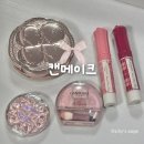 디자인푸루다 | 일본 캔메이크 겨울쿨톤 내돈내산 후기ㅣ파우더·무치푸루틴트 등