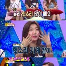 별바라기 스타뉴스
