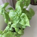 티스테이션(율곡점) | [월기] 높고 푸른 하늘이 예뻤던 서른의 9월🌱