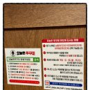 오늘은쭈꾸미망원 네이버블로그