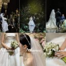 아다모 | W6. 대구 아이폰 스냅 업체 계약후기(아다모 스냅)