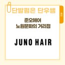 준오헤어 노원문화의거리점 단우쌤 단발펌 찐 후기