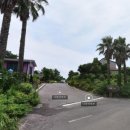 비자림스마일 이미지