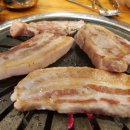 도시고기 이미지