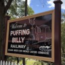 멜버른 근교여행 필수코스 퍼핑빌리 열차 후기 Puffing Billy 예약 가는법 가격 기차 시간표 총정리꿀팁