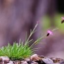 너 나 그리고 우리 이미지