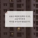 명성체육관 이미지