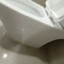 봄작시티24 이미지