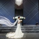 프라임홀 이미지