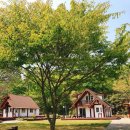 백령통나무펜션 이미지