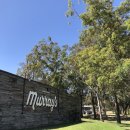 시니 케어 이미지