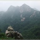 에덴동산 - 남구 | 에덴동산