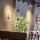 파스쿠찌 신기사거리 이미지