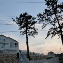 솔향민박 이미지