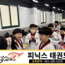 피닉스태권도장 이미지
