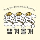 댕겨올개 이미지