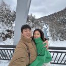 EG투어버스 I코스 | 삿포로 비에이 투어 일일버스 추천 자유시간 많음