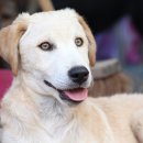 송파데일리동물병원 이미지