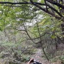 소백산삼계탕 이미지