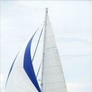 제주오다 이미지