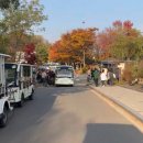 디지털미디어시티역4번출구 | (가을데이트) 하늘공원 억새, 단풍, 메타세콰이어 구경