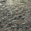 참새미골 이미지