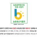 사천편백림