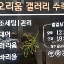 디오리움갤러리수족관