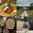 재수농장 | [1박2일 디종여행 02] 프랑스 레스토랑 코스요리 주문방법, ter티켓구매방법, 부르고뉴 와이너리투어 후기