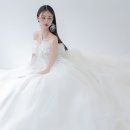 모니카 Daum카페
