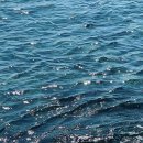 여름이네민박 이미지