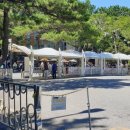 다누비 열차 이미지