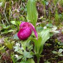 송정섭농장 이미지