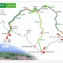 명개리(간이) | 평창 계방산(11.12.24) 산림청/인기백대명산 제67위