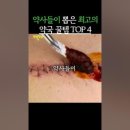 최고약국 네이버블로그