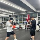 해운대복싱클럽 이미지