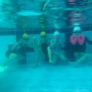블루마린 아쿠아스쿨 이미지