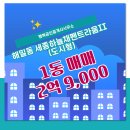 행복도시공인중개사사무소 | 해밀동 세종하늘채펜트라움II(도시형) 1동 매매 행복공인중개사사무소