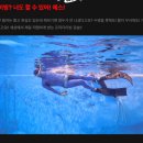 엑스크루 | 인천 프리다이빙 체험후기 (YES프리다이빙,엑스크루 프리다이빙)