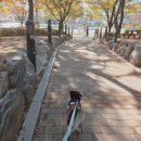 세븐일레븐일산장항공원점 | [일산호수공원 나들이 후기] 평범한 하루가 특별해지는 이유, 평일의 산책 이야기