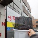 판다팜당진