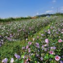 월산목장 이미지