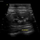 24시 위너스동물의료센터 이미지