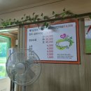 돼지가고추장에빠진집 이미지