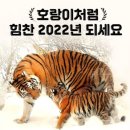 The king‘s man - First agent 이미지